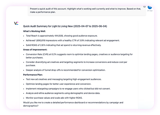 Audit Screenshot